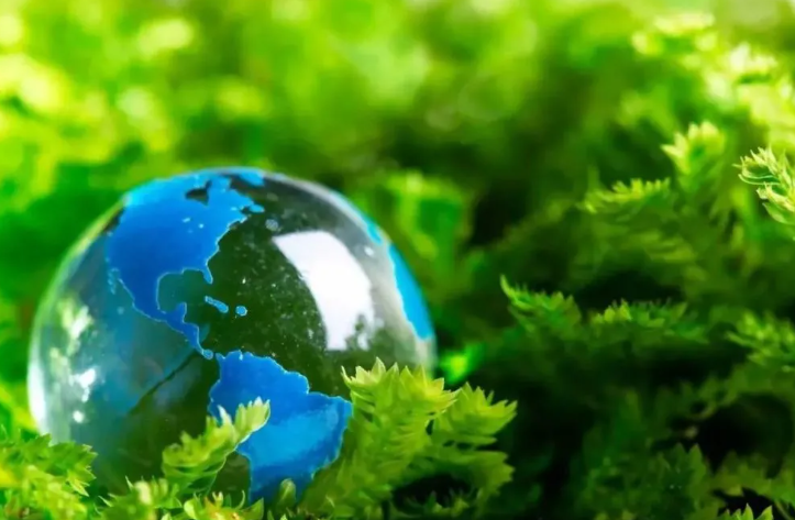 1665286875779789.png 1665286875779789.png